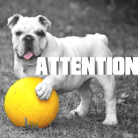 Attention - Instrumental cover